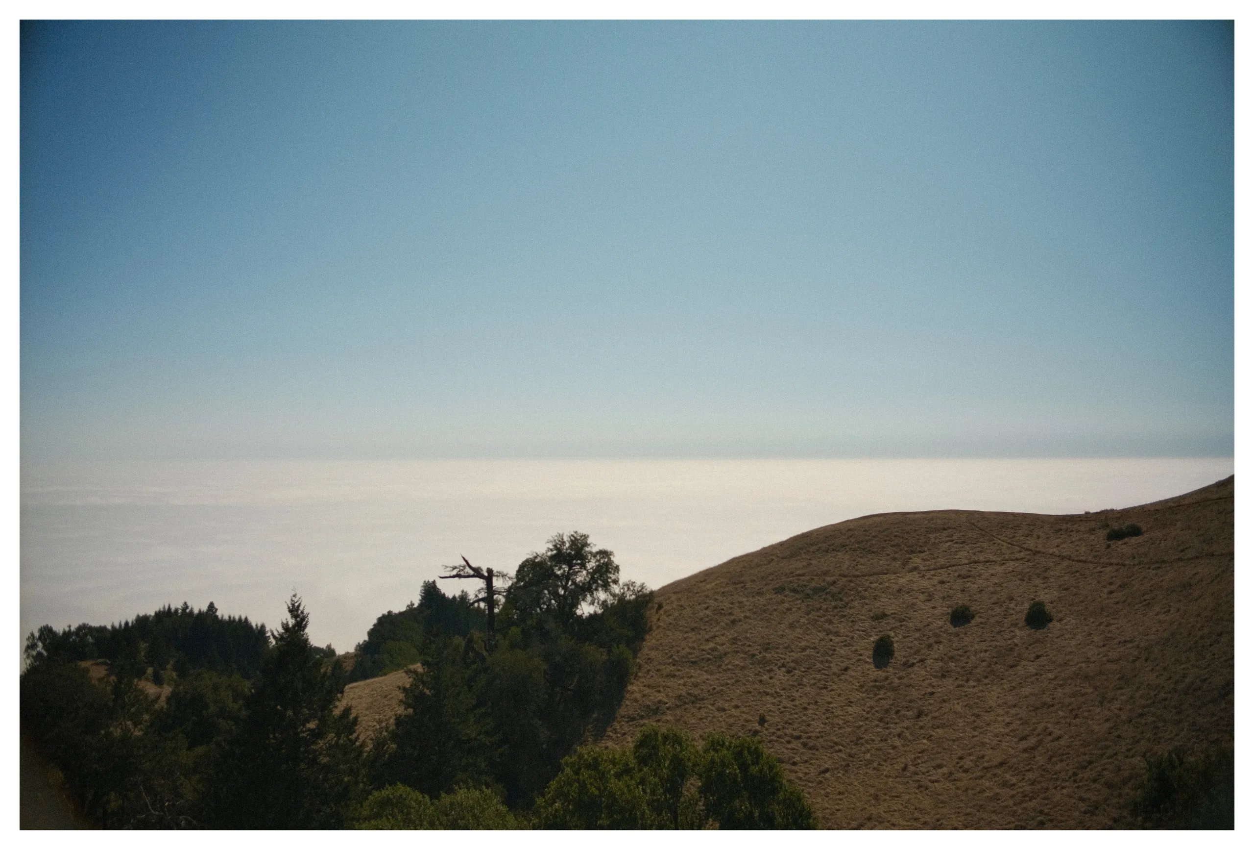 Mount Tam